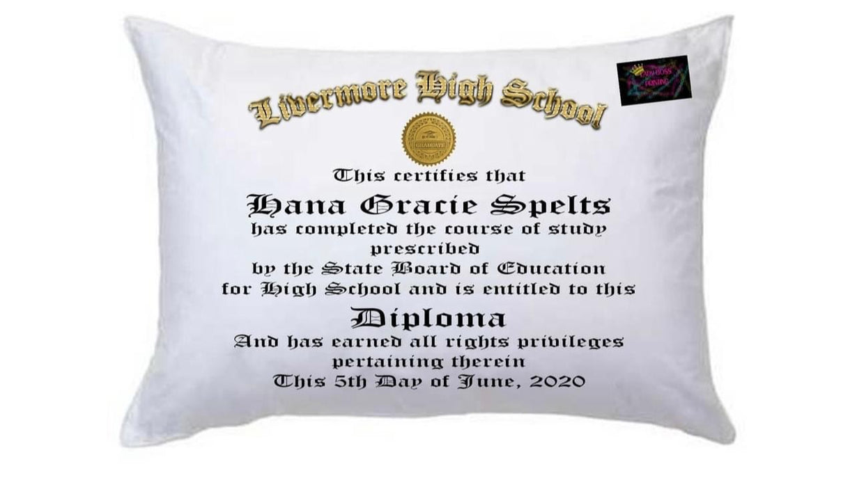 White Plush Pillows